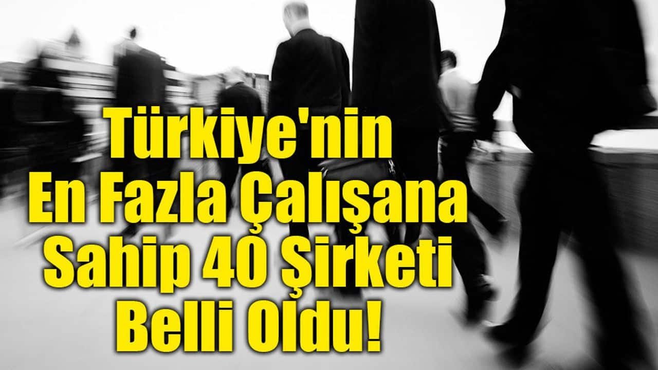 Türkiye'nin en fazla çalışana sahip şirketleri